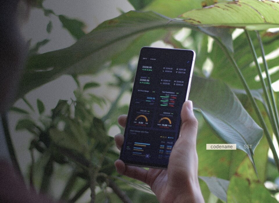 Options Trading on Punch